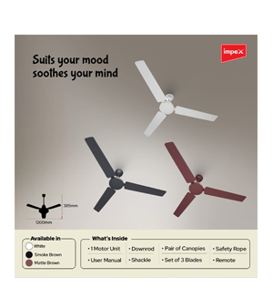 Impex BLDC Ceiling Fan 1200 mm HISAVE 31 DX 5 Star Rated Ceiling Fan for Home with Remote Control | 